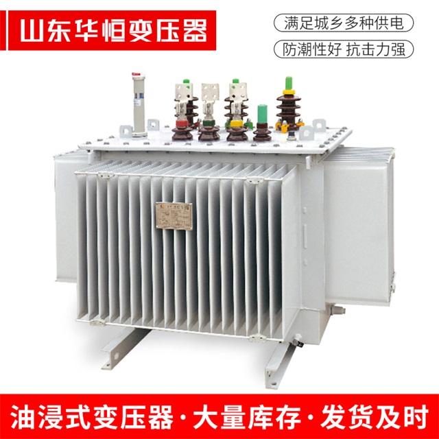 S13-10000/35金平金平金平电力变压器